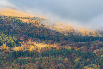 Fototapeta premium The spectacular colors of autumn