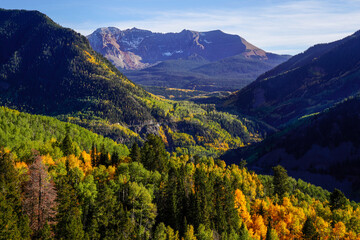 Fall Foliage Colorado