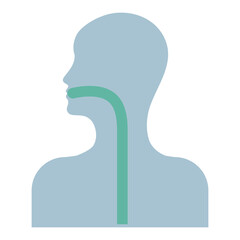 Human esophagus. Healthcare infographic elements. Vector illustration isolated on white background.