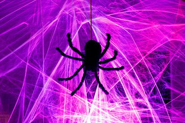 Black Spider Crawling on Purple Cob Web