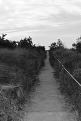 A path leading to a break wall in black and white