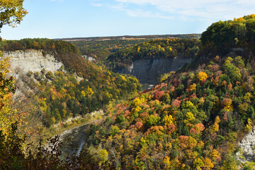 A gorge with trees beginning to change color