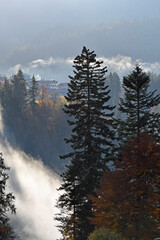 nebel im kleinwalsertal
