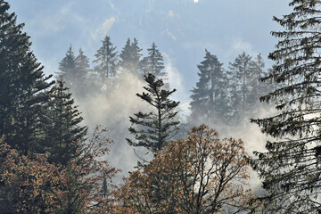nebel im kleinwalsertal