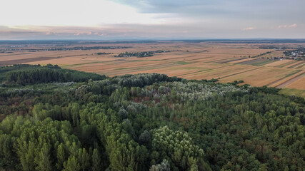 Fototapeta na wymiar Forest and Field Aerial View