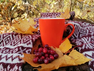 cup of tea and Autumn leaves