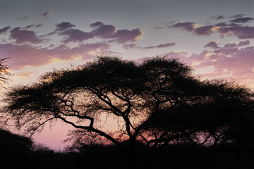 Sunset in Namibia, Africa