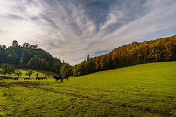 Obraz premium Fantastic autumn hike in the beautiful Danube valley near the Beuron monastery