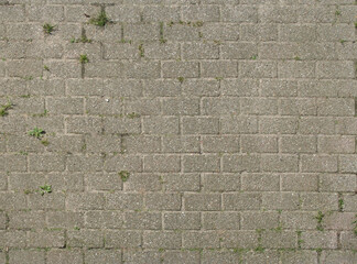 Paving stones covering (bitmap texture) 
