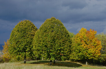 Herbstlandschaft mit Linden und Ahorn vor dunklem Himmel