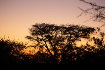 Fototapeta na wymiar Sunset in Namibia, Africa