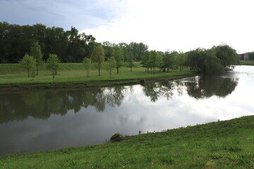 View of the river with the reflection of trees in it