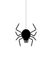 Obraz premium Silhouette spider on the web, vector design