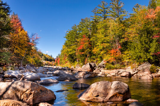 Rocks stand tall in the Swift River while bright, autumn foliage colors the shoreline under a blue sky along the Kancamagus Highway, New Hampshire.

