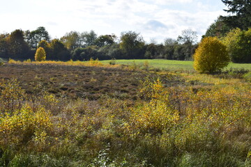herbstlich buntes Sumpfmaar Strohner Märchen