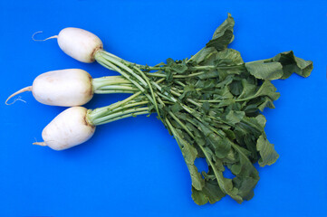 Three turnips (Brassica rapa subsp. Rapa) with plant leaves on blue background