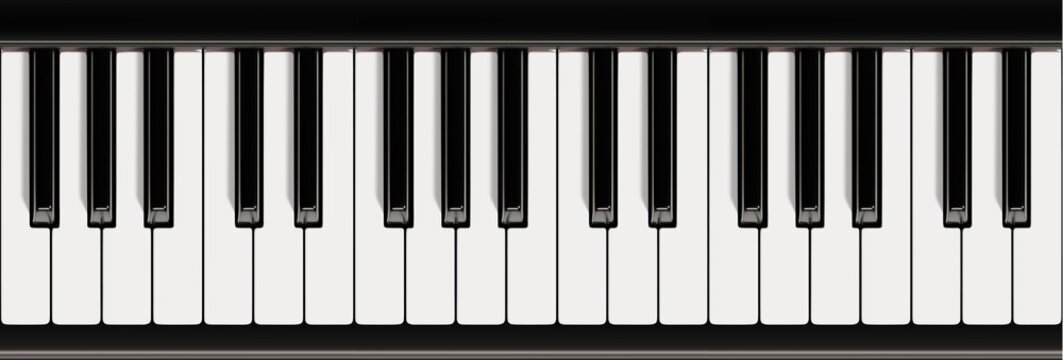 Piano keyboard close up view vector illustration