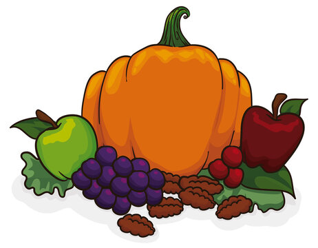 Pumpkin, Apples, Grapes Berries, Pecan Nuts and Leaves, Vector Illustration