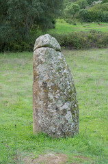 Menhir megalith stone in Sardinia Sardegna Italy big megalith stone standing in field archeological monument history, Villa Sant'Antonio, Sardinia
