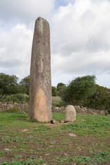 Menhir megalith stone in Sardinia Sardegna Italy big megalith stone standing in field archeological...