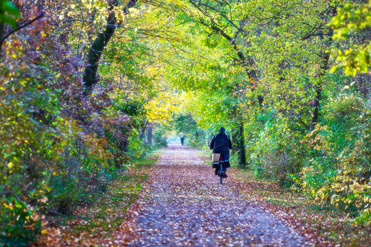 Amish woman on bicycle on autumn path.