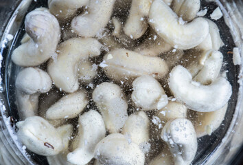 Soaking cashew nuts in the water.