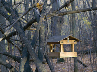 bird house on a tree