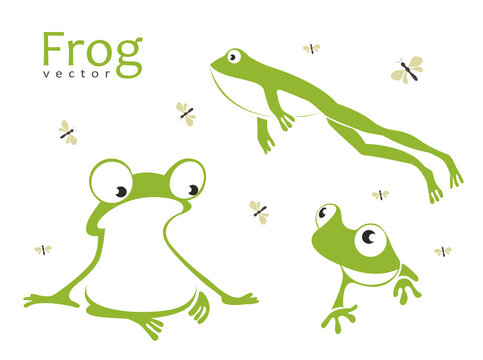 Collection of funny frogs, dragonflies. Amfia sits, jumps, sneaks.