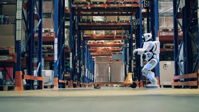 Human-like robot is transporting boxes across the warehouse hall