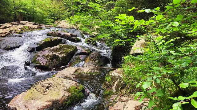 Bodef&auml;lle im Harz in Sachsen-Anhalt mit flie&szlig;endem Wasser und Felsen bei Tageslicht