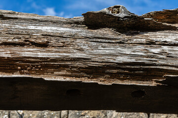 detail of the texture of an old wood