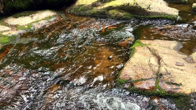 Detailaufnahme der Bode im Harz mit flie&szlig;endem Wasser und Felsen im Tagselicht