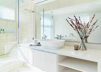 Modern white luxury home showcase bathroom