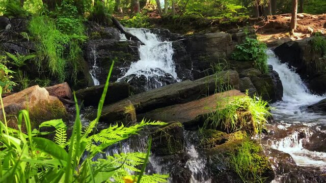 Selkefall im Harz im Sommer bei Tageslicht