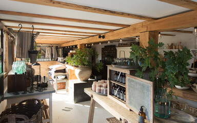 Plants and merchandise on display in plant nursery