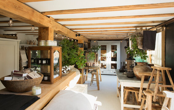 Sunny plant nursery interior