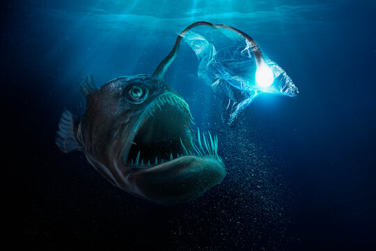 Large deep sea fish with light bulb trapped in plastic bag
