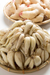 ラッキョウと新ショゥガ