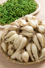 新ショウガとサンショウ