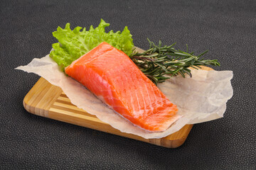 Piece of raw salmon