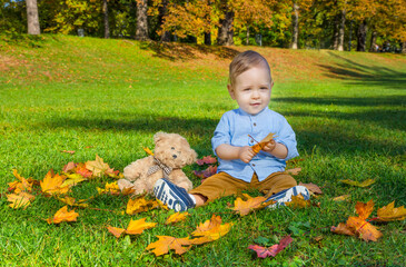 Small child playing with his teddy bear and colorful leaves in the park, in autumn. Cute baby boy portrait having fun outdoor in nature, in sunny fall day.