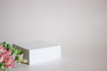 white rectangular box with shadows on a light white background. White plastic cream jar. For cosmetics or cosmetology background. stand for advertising beauty products. eucalyptus plant leaf