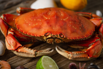 Close-up view of big coked crab served with lime, lemon and seashells on rustic wooden background. Seafood concept. Delicious meal.