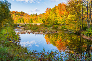 trees in beautiful fall colors reflected in quiet river stream 
