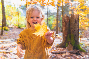 Little child girl in autumn park holding leaf