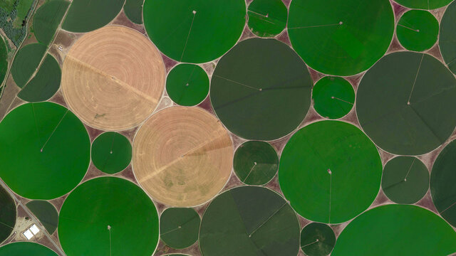 Center pivot irrigation system, circular fields and food safety, looking down aerial view from above, bird’s eye circular fields 