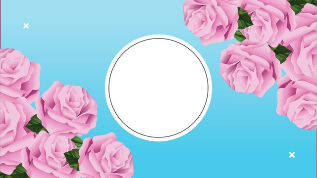 pink roses flowers with circular frame animation