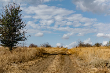 Obraz premium A winding wide road with turns of dust, earth and sand, among dry vegetation and grass. On the background of a beautiful cloudy sky. Yellow drying plants and shrubs around