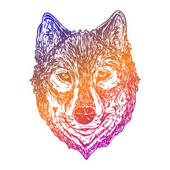Wolf Head Portrait. Animal Mountain adventure landmark Forest. Line Art Doodles vector illustration. 