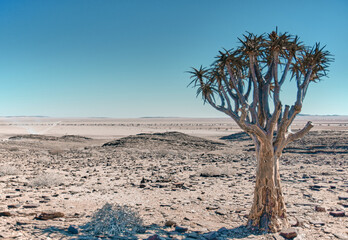 Amazing landscape in Namibia, Africa